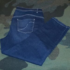 Lane Bryant Genius Fit skinny jeans